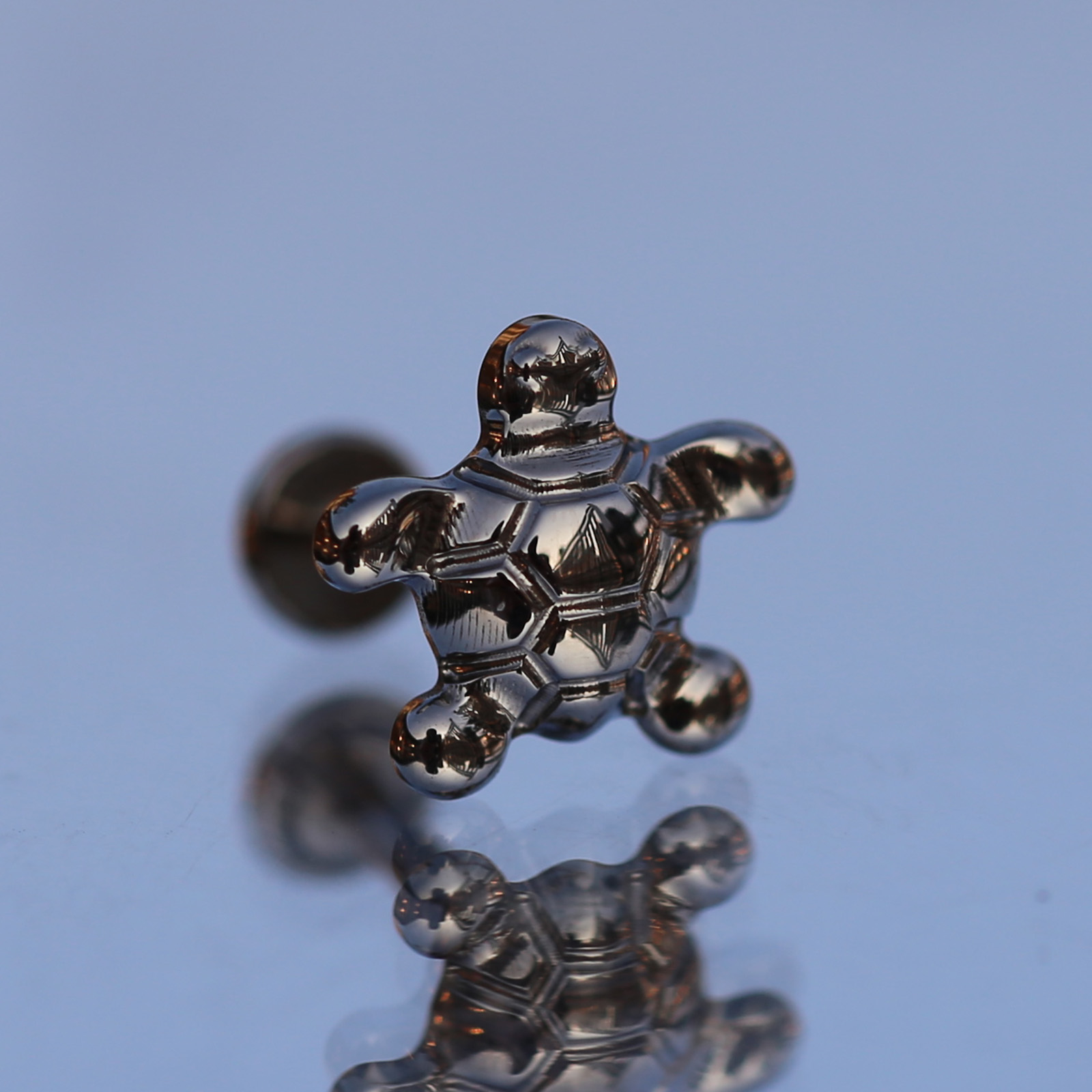 16G Implant Grade Titanium AST - Body Jewelry Implant Grade ulasan dan harga
